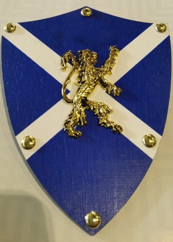 BRAVEHEART MINI SHIELD